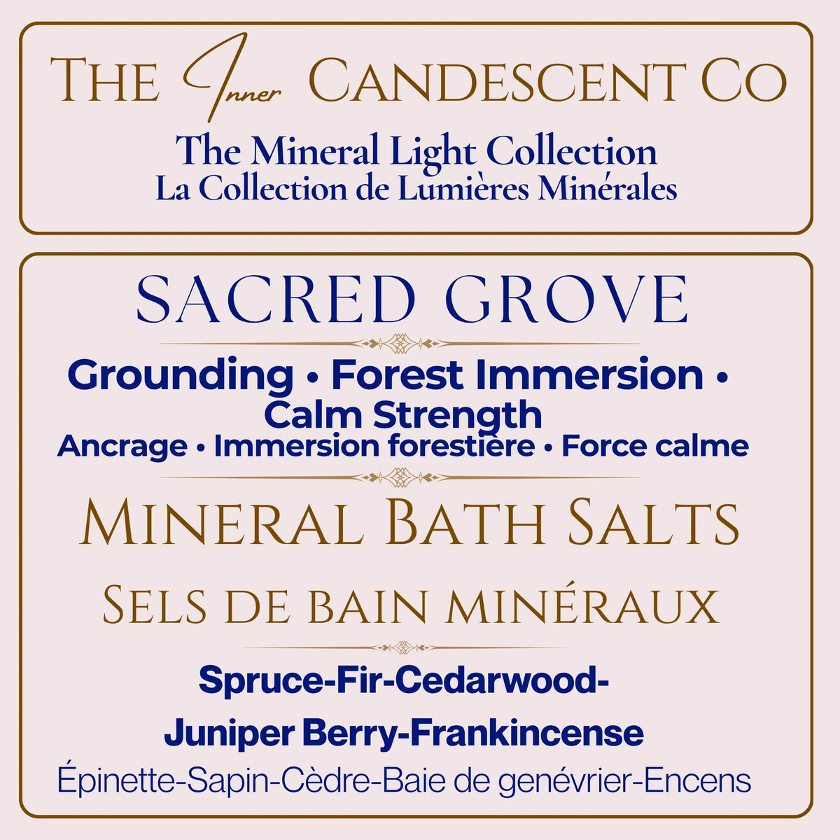 SACRED FOREST SANCTUARY BUNDLE | Forest Bath & Body Gift Set