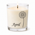 Daisy - April Birth Flower