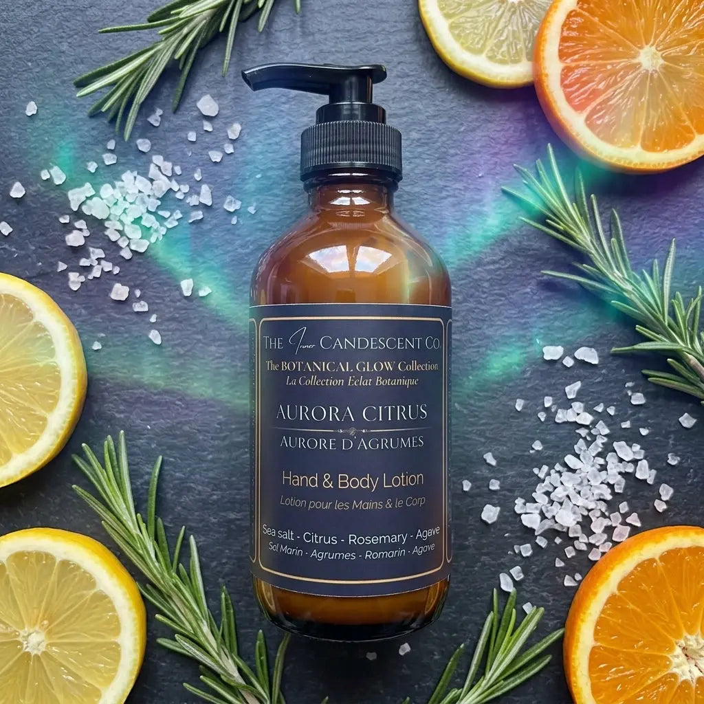 The Citrus Solstice Discovery Bundle
