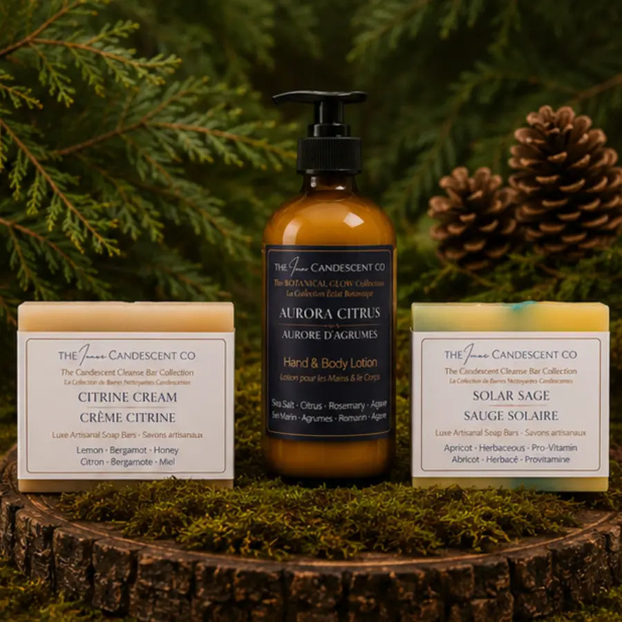 The Citrus Solstice Discovery Bundle