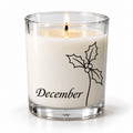 Holly - December Birth Flower
