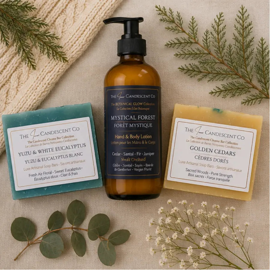 The Woodland Radiance Discovery Bundle