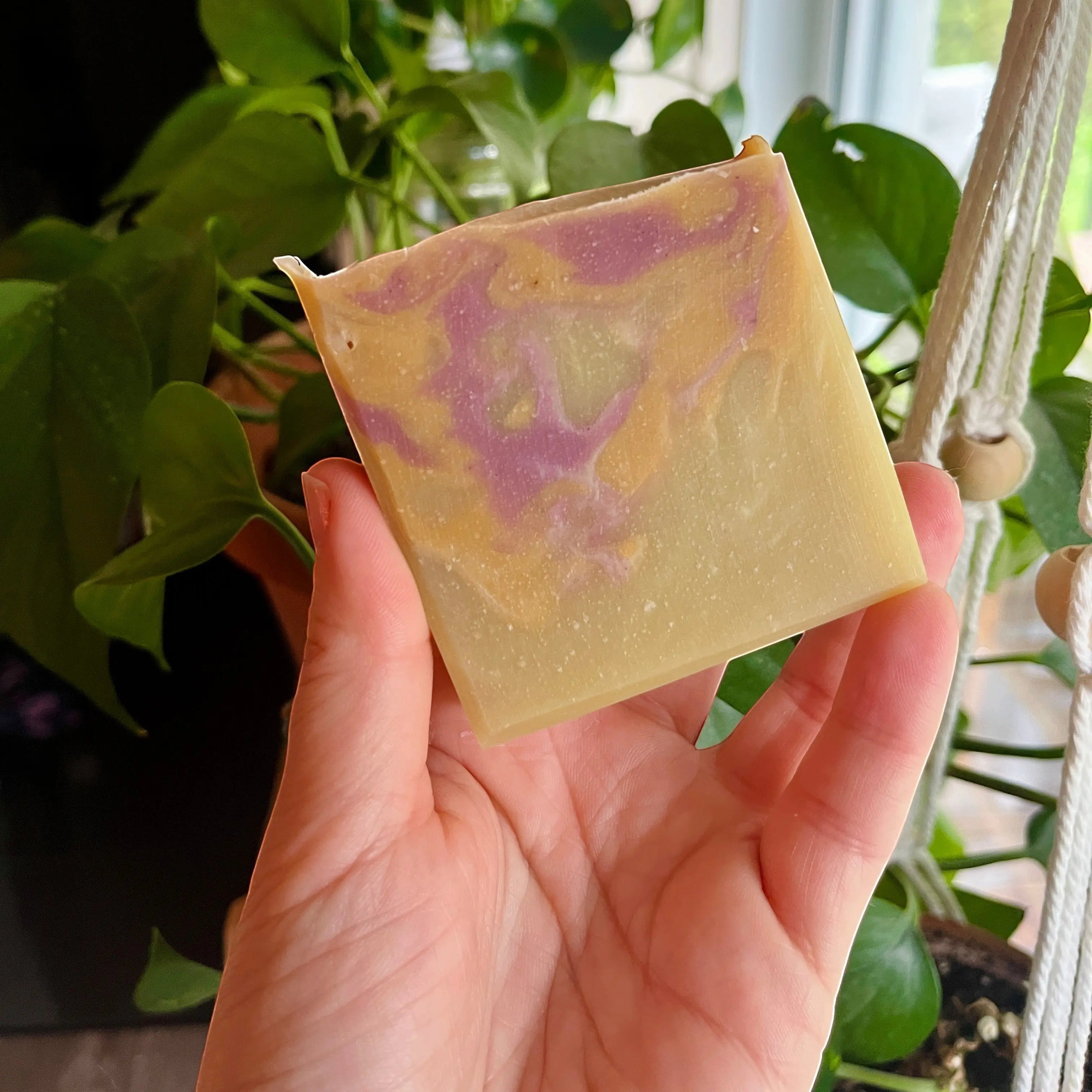 Savon au lait de coco SULTANE  nectar de pêches