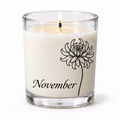Chrysanthemum - November Birth Flower