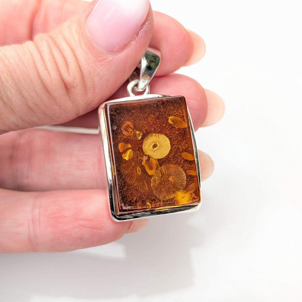 Phaethon Pendant — Baltic Amber & Sterling Silver