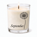 Aster - September Birth Flower
