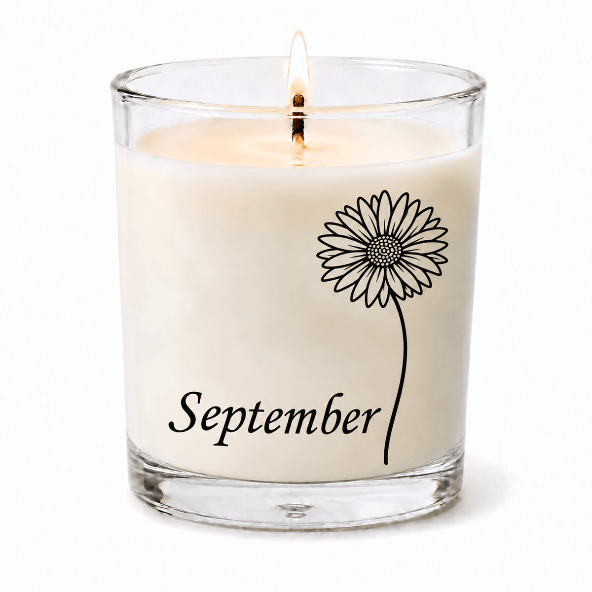 Aster - September Birth Flower
