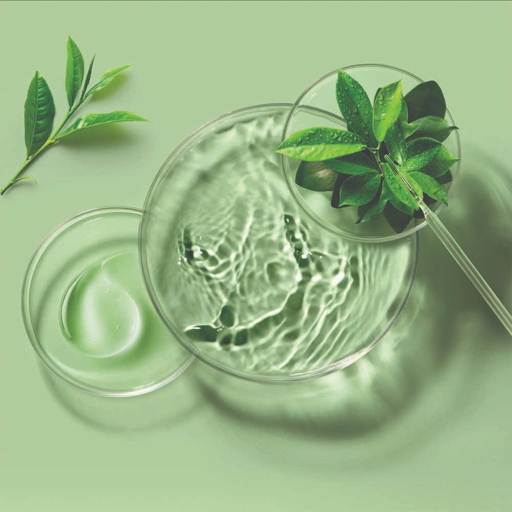 FOREO Green Tea Sheet Mask (3x)