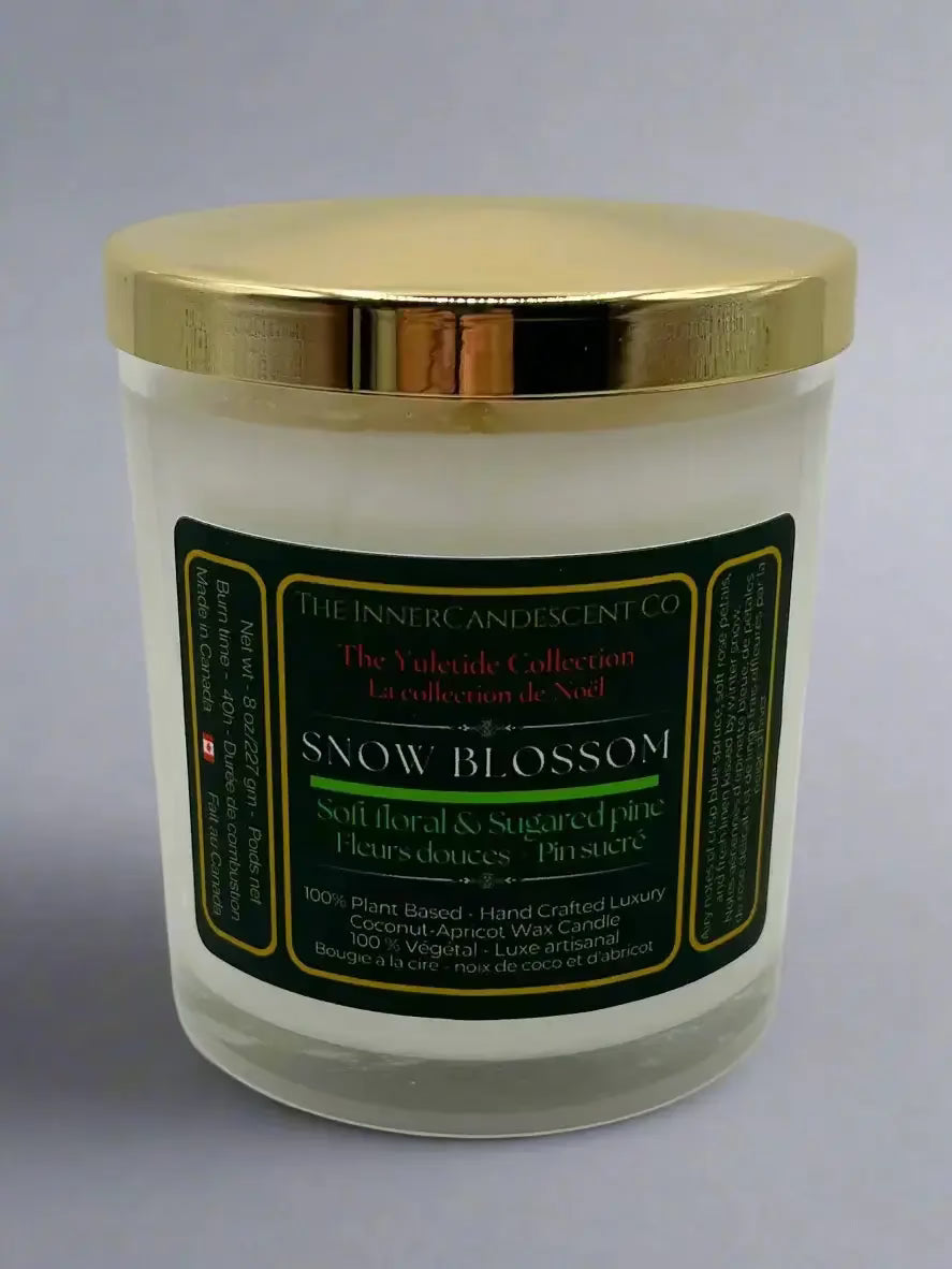 SNOW BLOSSOM | Soft floral winter luxury coconut apricot wax candle