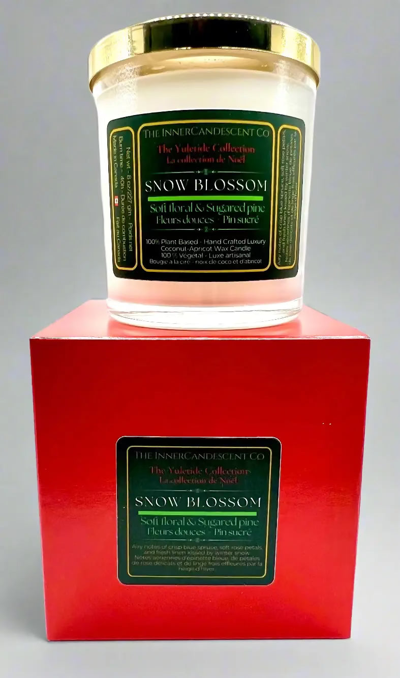 SNOW BLOSSOM | Soft floral winter luxury coconut apricot wax candle