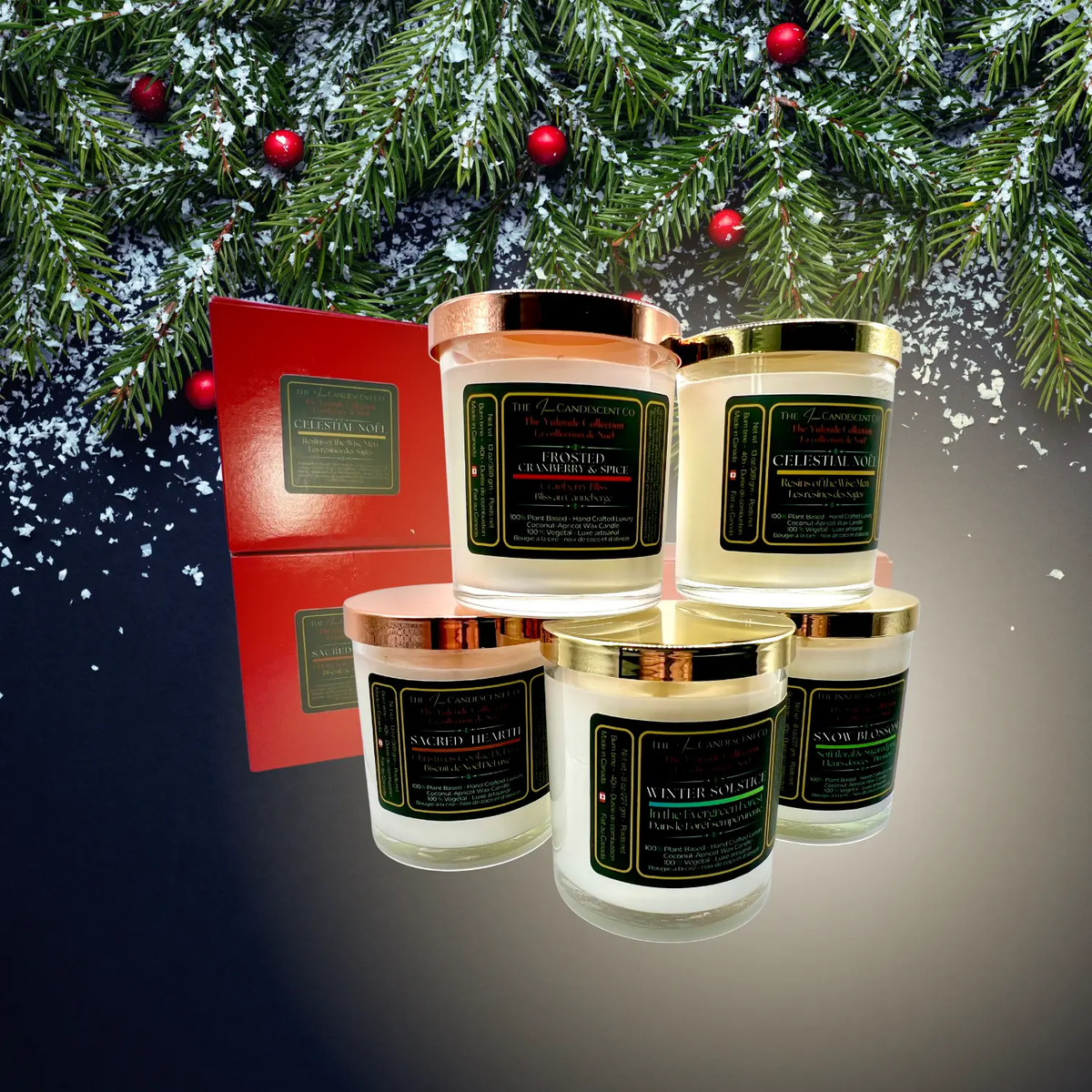 WINTER SOLSTICE | Winter woods luxury coconut apricot wax candle