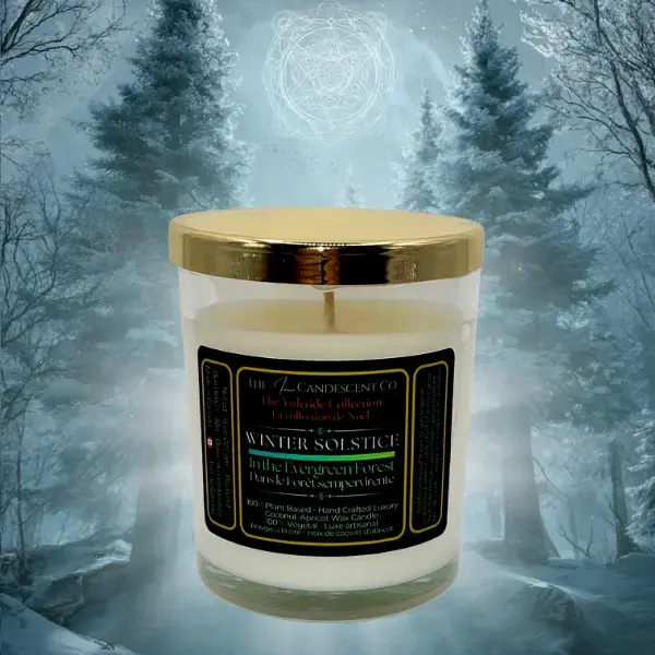 WINTER SOLSTICE | Winter woods luxury coconut apricot wax candle