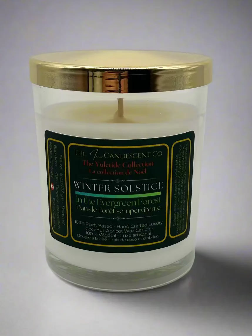 WINTER SOLSTICE | Winter woods luxury coconut apricot wax candle