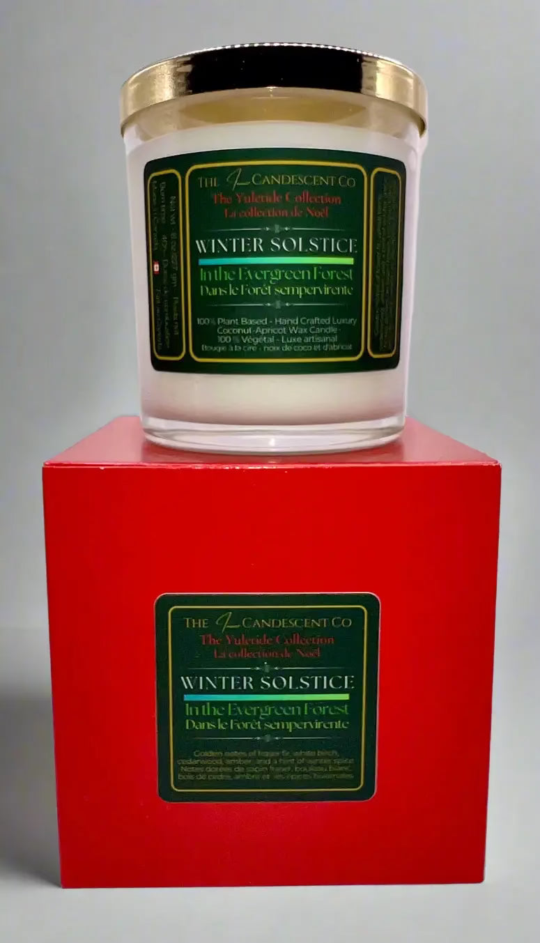 WINTER SOLSTICE | Winter woods luxury coconut apricot wax candle
