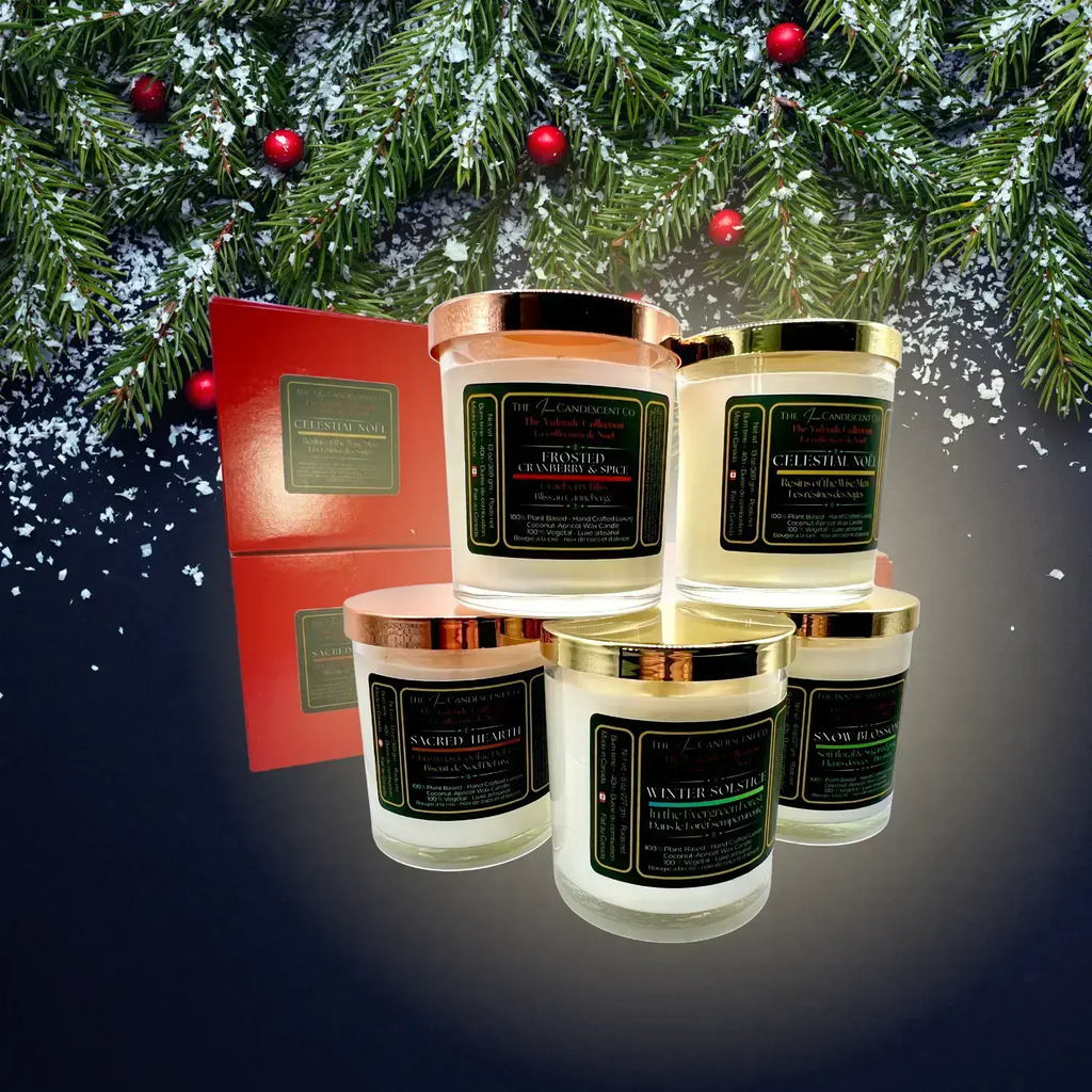 FROSTED CRANBERRY &amp; SPICE | Festive cranberry Christmas luxury coconut apricot wax candle