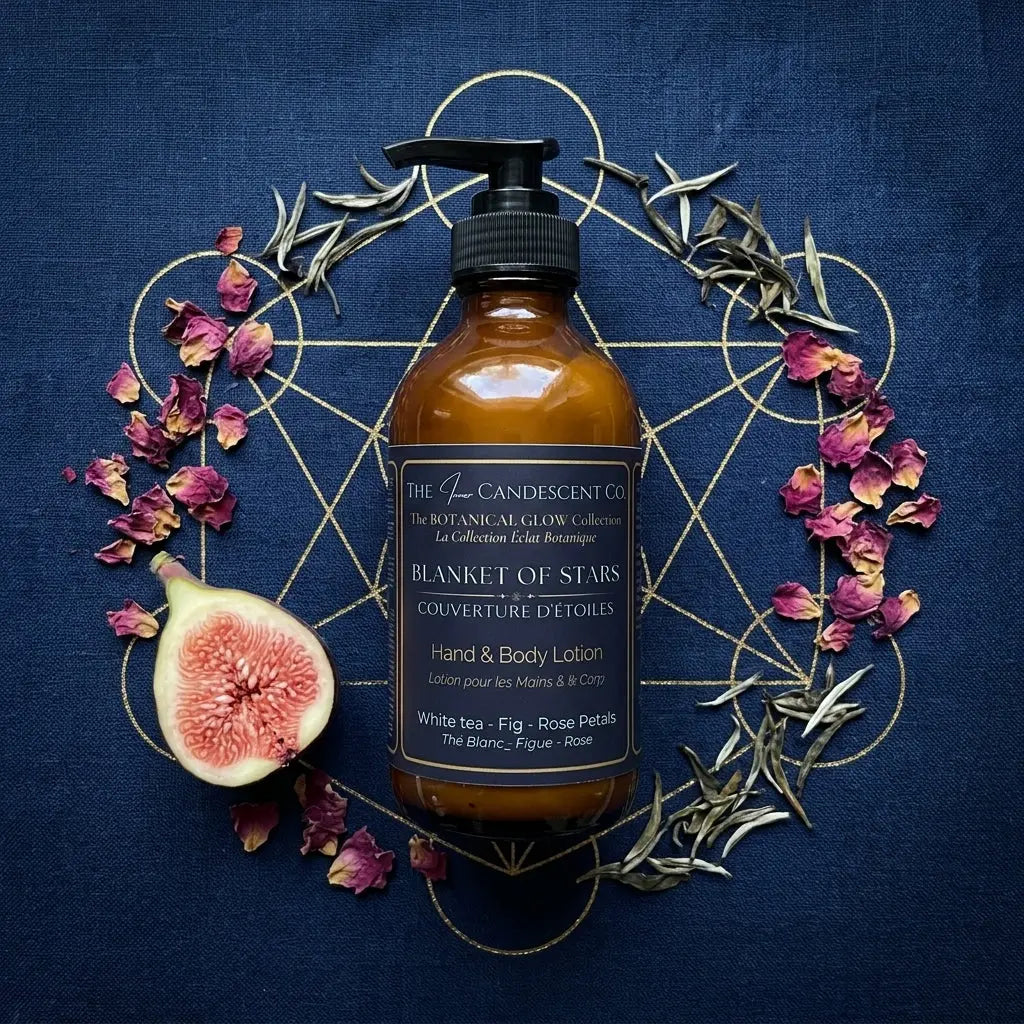 BLANKET OF STARS | White tea, fig & rose luxury hand and body lotion